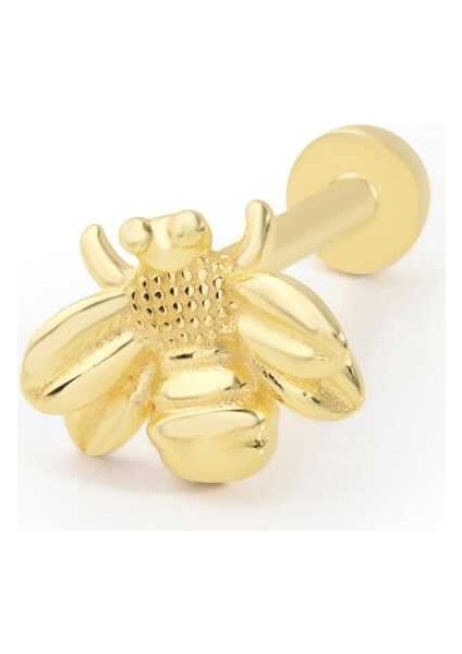 Arı Desen Tragus Piercing