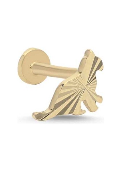 Kalemli Kedi Tragus Piercing