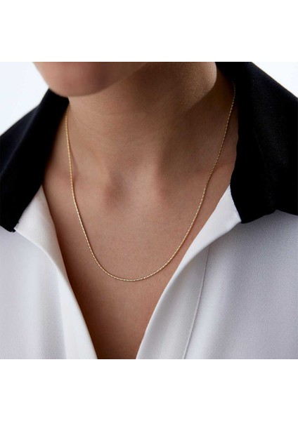 Timsah Sırtı Zincir fiyatları