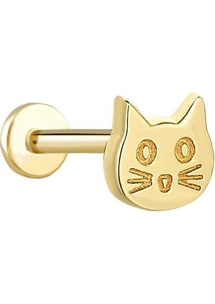 Kedi Tragus Piercing