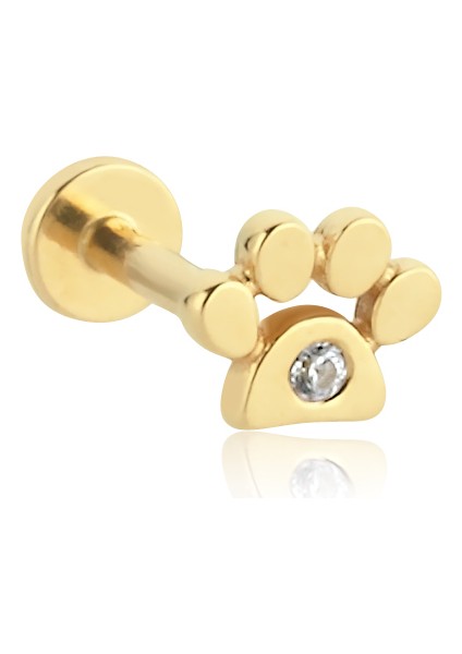 Taşlı Pati Tragus Piercing