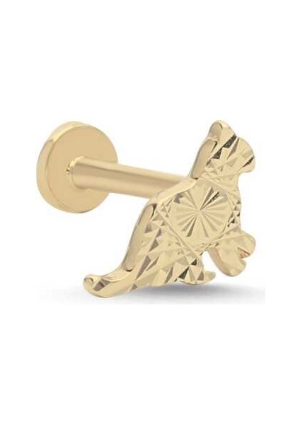 Kedi Kalemli Tragus Piercing