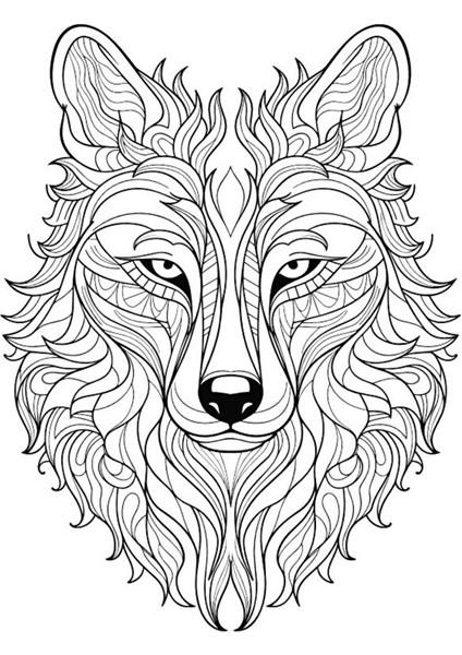 Kurt Mandala Boyama Kitap Seti (2 Kitap) fiyatları