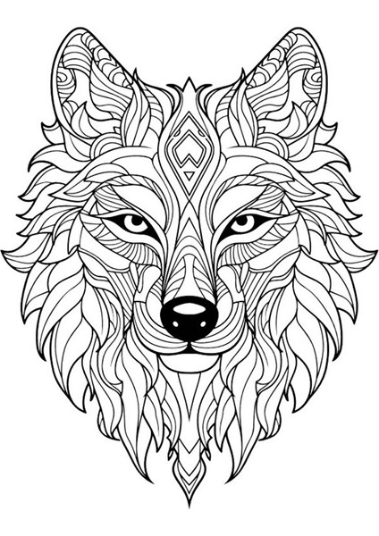 Kurt Mandala Boyama Kitap Seti (2 Kitap) modelleri