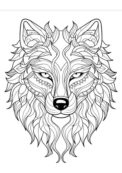 Kurt Mandala Boyama Kitap Seti (2 Kitap) fırsatları