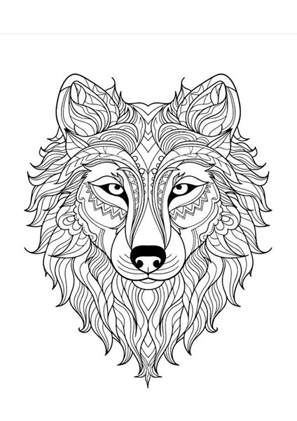 Kurt Mandala Boyama Kitap Seti (2 Kitap) indirimleri