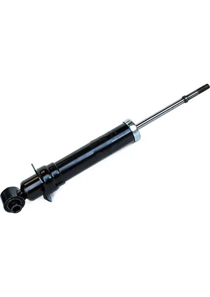 1010530107 Amortisor Arka 4853009650