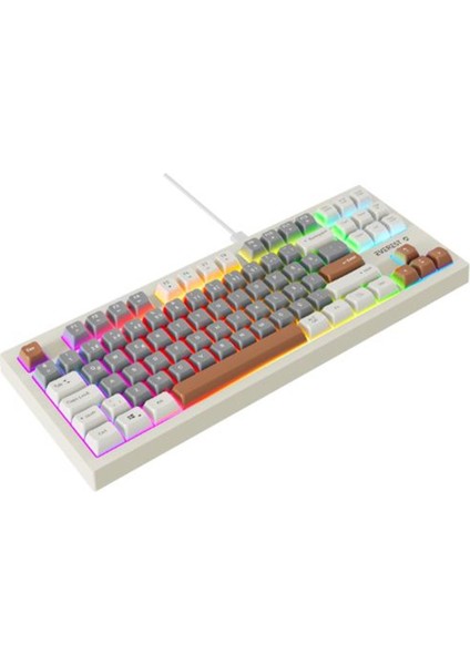Everest Kb-98 Sılent Tkl Gri Mavi-Gri-Kahve Rainbow Q Membrane Klavye fiyatları