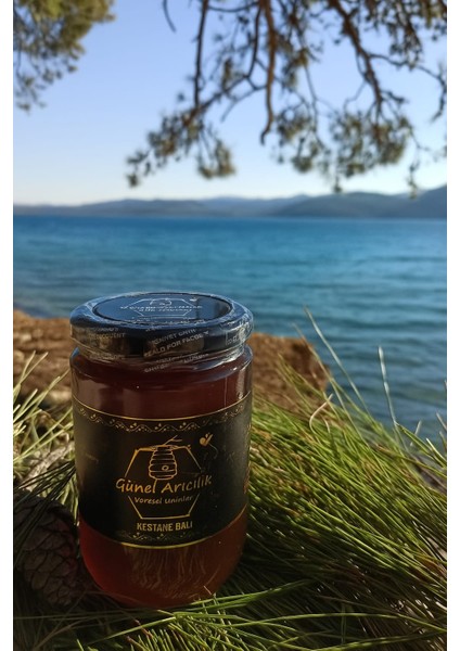 Kestane Balı 400 gr