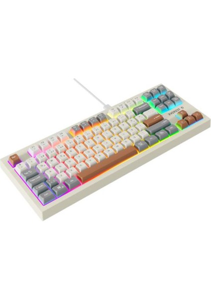 Everest Kb-98 Sılent Tkl Gri-Gri Mavi-Kahve Rainbow Q Membrane Klavye fiyatları