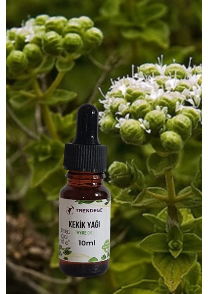 Kekik Yağı 10 ml (Thyme Oil)