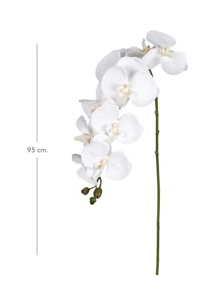 Orkide Beyaz 95 Cm. fiyatları