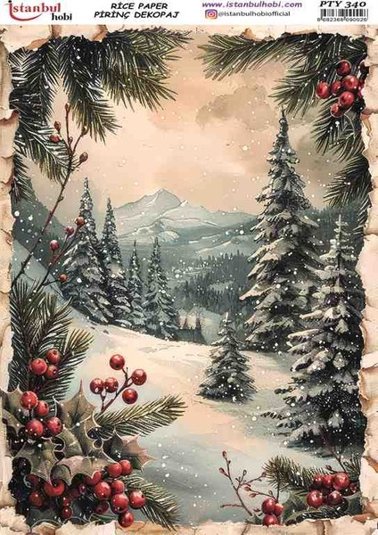 PİRİNÇ DEKOPAJ PTY 340