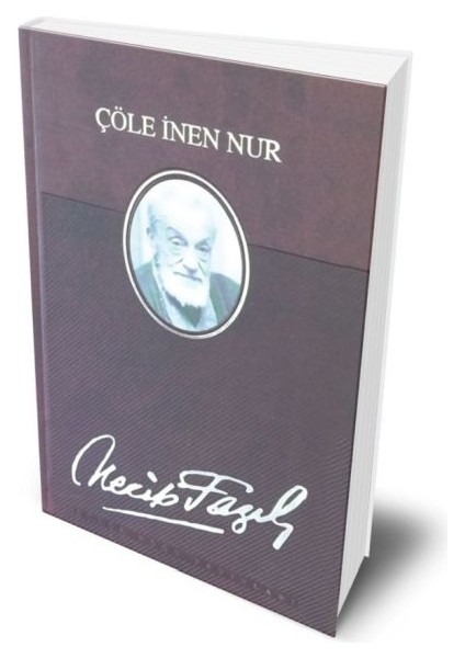 Çöle Inen Nur (Deri Ciltli)