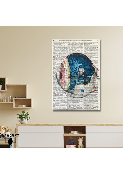 Tekli Dikey Kanvas Göz Poliklinik Tablosu Sanatsal Göz Anatomisi