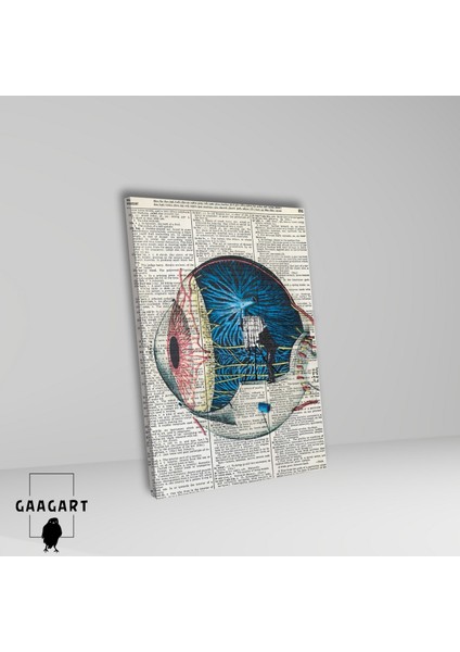 Tekli Dikey Kanvas Göz Poliklinik Tablosu Sanatsal Göz Anatomisi fiyatları