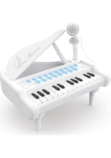 BAO-1505A Mikrofonlu Mini Piano 24 Tuş Mp3 Çalar