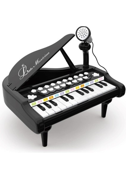 BAO-1505A Mikrofonlu Mini Piano 24 Tuş Mp3 Çalar