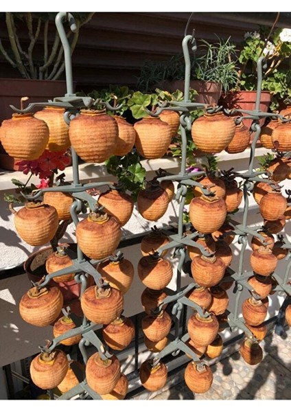 Trabzon Hurması Kurutma Askısı – 15’li Set (Toplam 60 Hurmalık Kapasite) modelleri