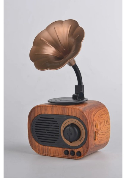 Kahverengi Nostalji Radyo ve Bluetooth Hoparlör Vk-B5 Gramafon