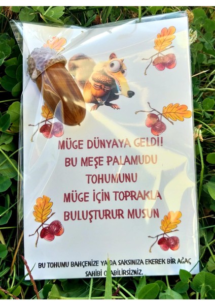 Daphnedijital 40'li Tohumlu Özel Gün Hediyeliği-Doğum Günü, Sünnet Hediyeliği