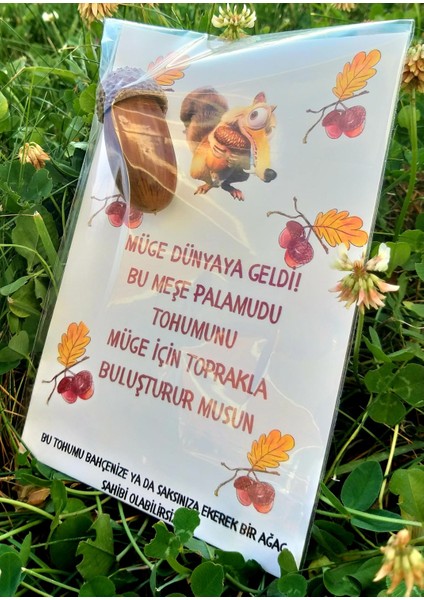 Daphnedijital 40'li Tohumlu Özel Gün Hediyeliği-Doğum Günü, Sünnet Hediyeliği fiyatları