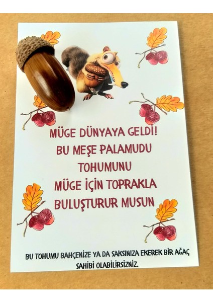 Daphnedijital 40'li Tohumlu Özel Gün Hediyeliği-Doğum Günü, Sünnet Hediyeliği modelleri