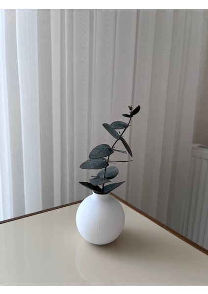 Dekoratif 3D Printer Baskı, Kahve Yanı Sunumluk Vazo Beyaz Okaliptüs Dalı ile Beraber