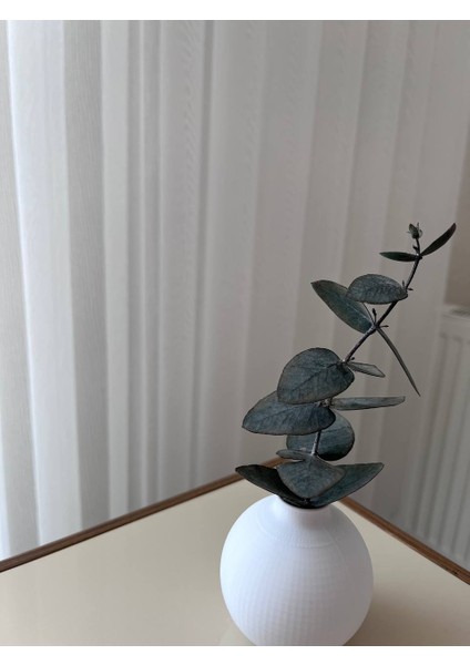 Dekoratif 3D Printer Baskı, Kahve Yanı Sunumluk Vazo Beyaz Okaliptüs Dalı ile Beraber fiyatları