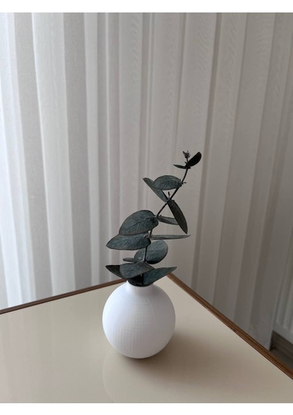 Dekoratif 3D Printer Baskı, Kahve Yanı Sunumluk Vazo Beyaz Okaliptüs Dalı ile Beraber modelleri