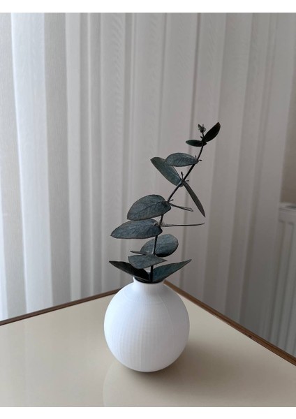 Dekoratif 3D Printer Baskı, Kahve Yanı Sunumluk Vazo Beyaz Okaliptüs Dalı ile Beraber fırsatları