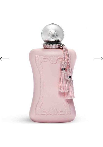 Delina Edp 100 ml fiyatları