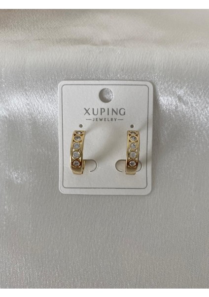 Taş Detaylı Halka Xupıng Çelik Küpe modelleri