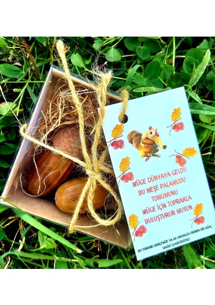 Daphnedijital 20'li Tohumlu Özel Gün Hediyeliği-Doğum Günü, Sünnet Hediyeliği fiyatları