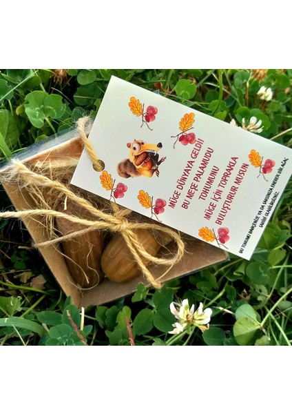 Daphnedijital 20'li Tohumlu Özel Gün Hediyeliği-Doğum Günü, Sünnet Hediyeliği modelleri