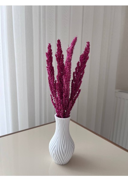 Dekoratif 3D Printer Yazıcı Sunumluk Vazo, Bulgur Otu Ile Beraber