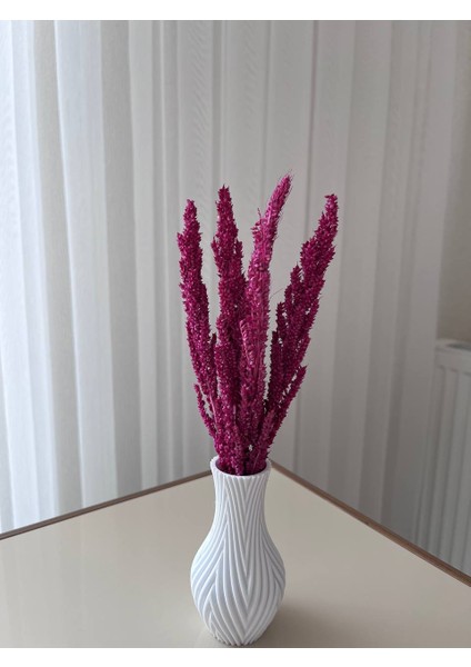 Dekoratif 3D Printer Yazıcı Sunumluk Vazo, Bulgur Otu Ile Beraber fiyatları