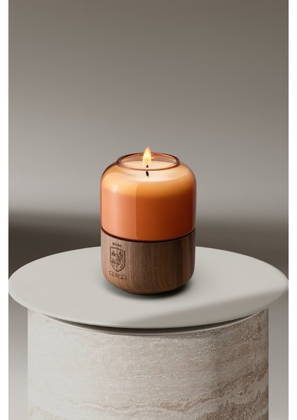 Aroma Candle HF402 №5 Misk, Deri ve Madagaskar Karanfil Mum El Işçiliği indirimleri