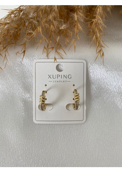 Sarmal Detay Halka Xupıng Çelik Küpe modelleri