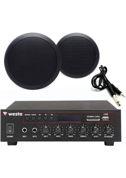 2’li Siyah Tavan Hoparlörlü 100V Anfi Ses Sistemi | Kafe Mağaza Ofis Müzik Seti