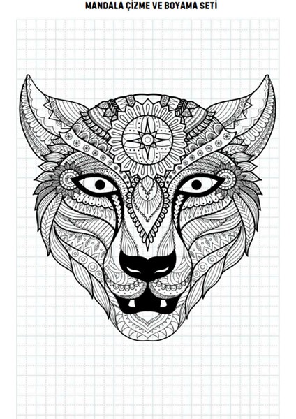 Mandala Çizme ve Boyama Kitap Seti (3 Kitap) fırsatları