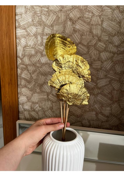 Kuru Çiçek Aranjman Kuru Mantar Gold Sponge Mushroom 4 Dal
