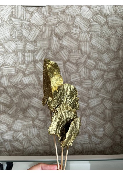 Kuru Çiçek Aranjman Kuru Mantar Gold Sponge Mushroom 4 Dal fiyatları