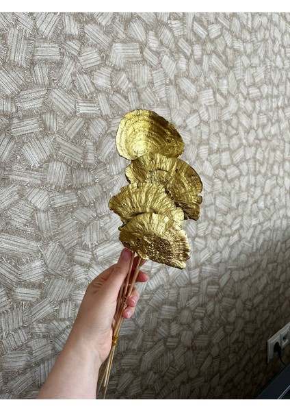 Kuru Çiçek Aranjman Kuru Mantar Gold Sponge Mushroom 4 Dal