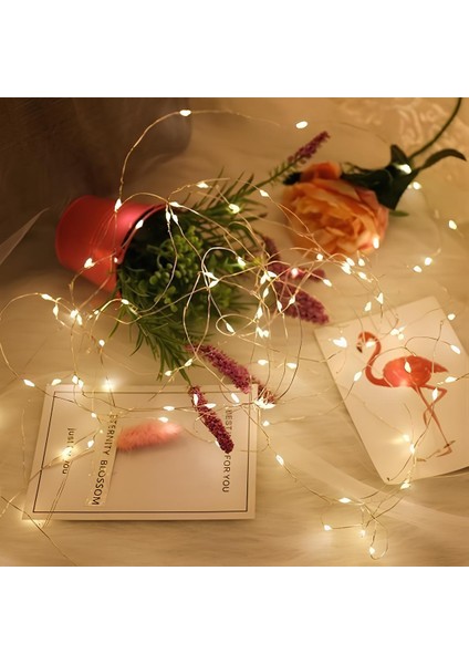 Yılbaşı ve Özel Konsept Dekorasyon 5 mt USB Bağlantılı LED Işık