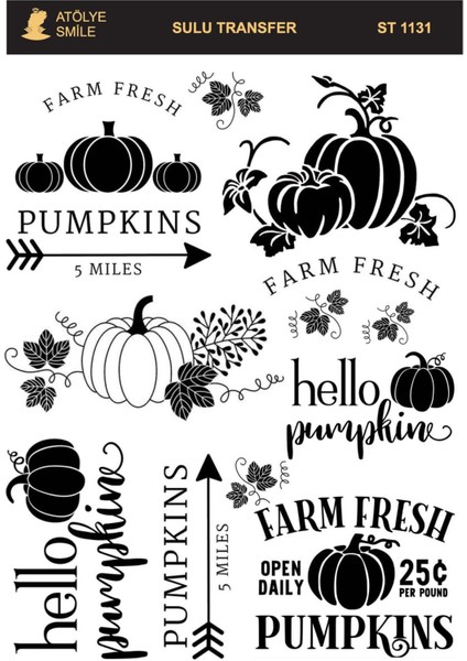 ST1131 Pumpkin, Kabak Açık Zemin Sulu Transfer 25*35 cm