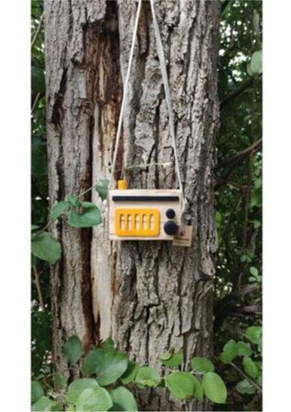 Doğal Ahşap Renkli Radyo Dekoratif Çocuk Oyuncağı, Nostaljik ve Şık Tasarım fiyatları