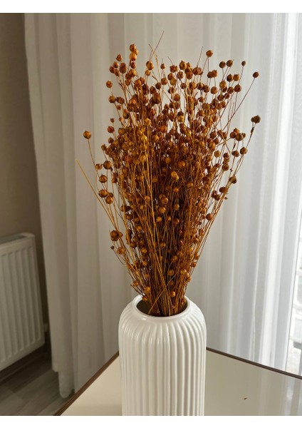 Kuru Çiçek Sarı Keten Otu ( Luna) modelleri