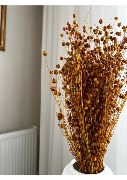 Kuru Çiçek Sarı Keten Otu ( Luna)