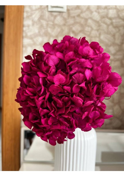 Kuru Çiçek Şoklanmış Pembe Ortanca Demeti modelleri